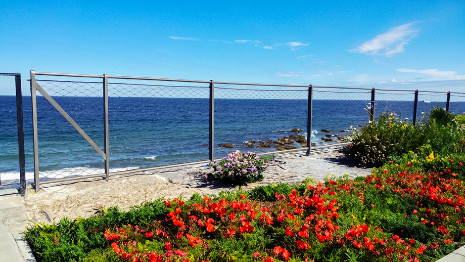 GATES AND FENCING